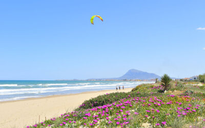 Enjoy the beaches of Denia in a sustainable way.