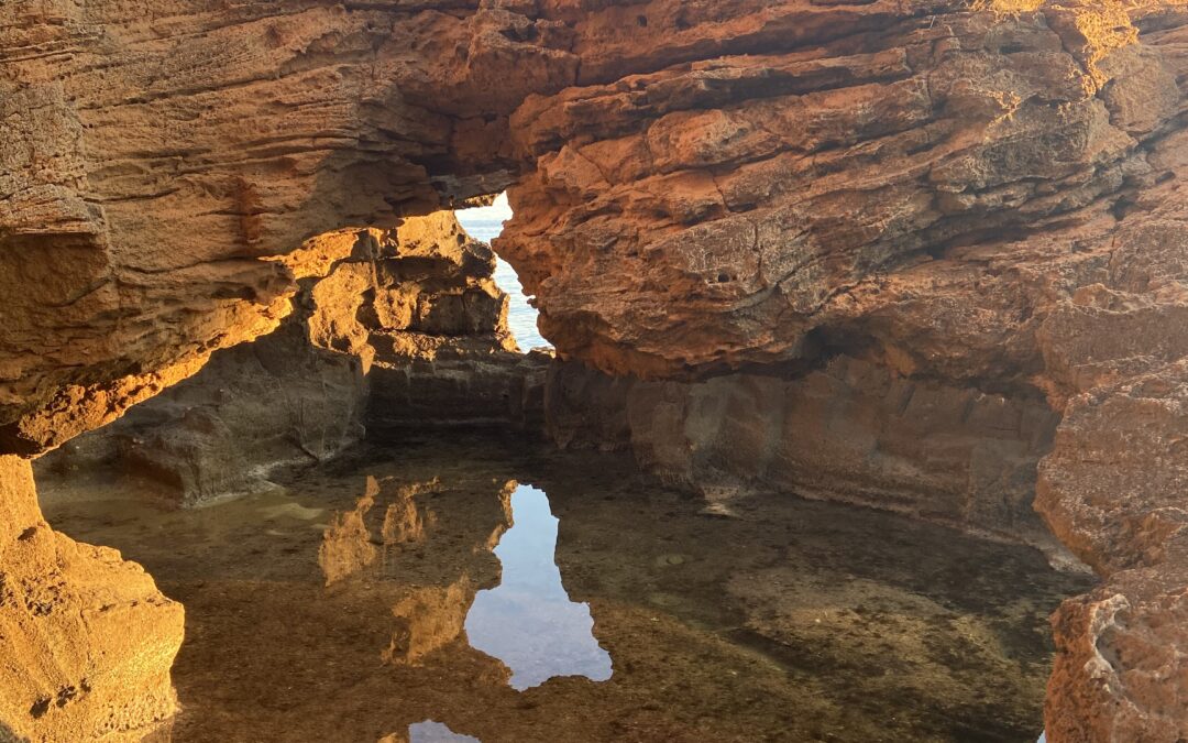 Descobreix la Cova Tallada