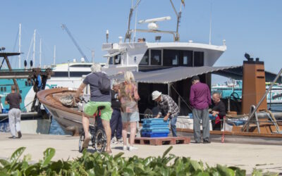 Como ser un turista sostenible en Dénia